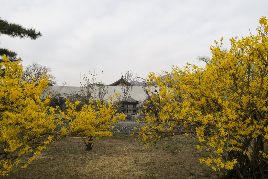 Premier voyage en Corée en&nbsp;2018