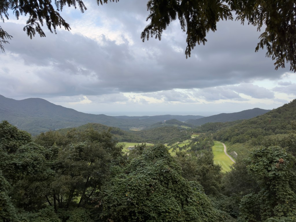 Week 42 – Essais et&nbsp;erreurs