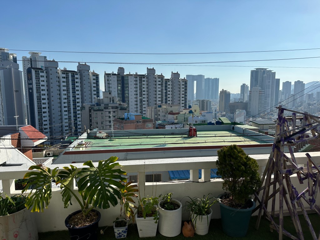 Week 48 – Derniers&nbsp;jours