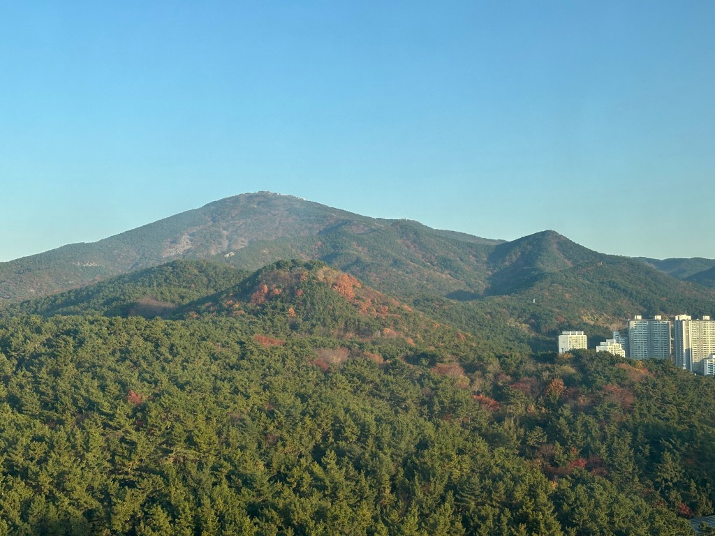 Week 49 – Retour en&nbsp;France