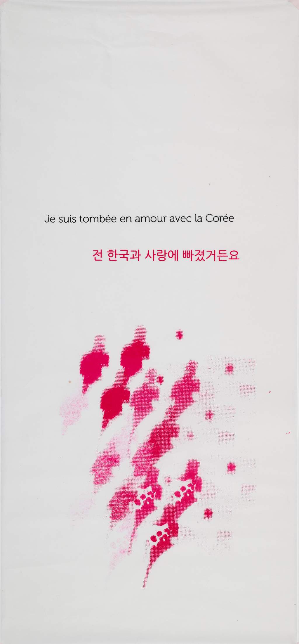 Week 12 – De nouvelles rencontres et des&nbsp;retrouvailles