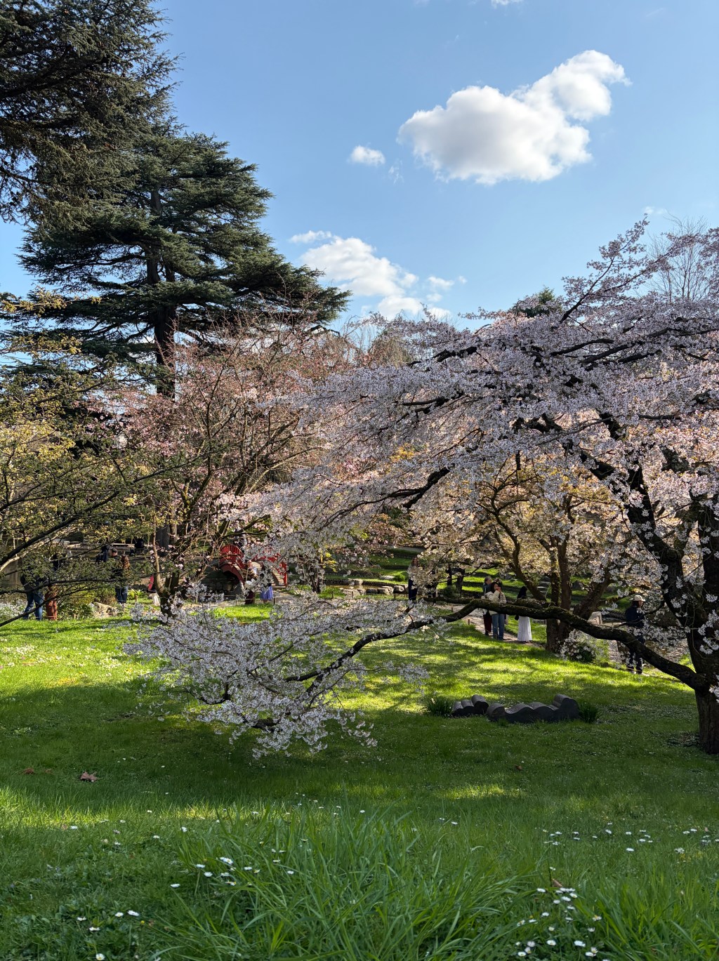 Week 11 – Installation dans un nouvel&nbsp;atelier